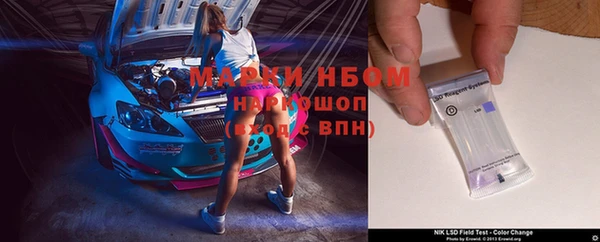 трава Аркадак