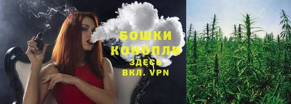 трава Аркадак