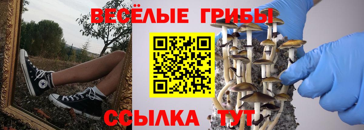 Галлюциногенные грибы мицелий  Галлюциногенные грибы Cubensis  купить наркоту  Георгиевск  Вход с VPN 