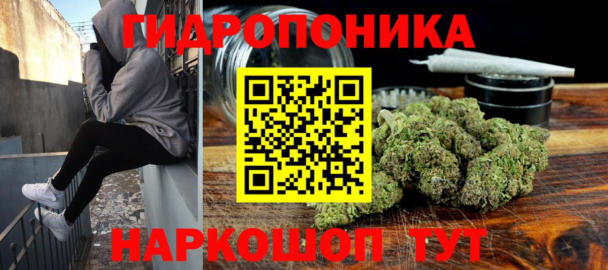 Марихуана ГИДРОПОН  МАРИХУАНА индика  Канабис OG Kush  Георгиевск  Вход с VPN  Шишки марихуана планчик 